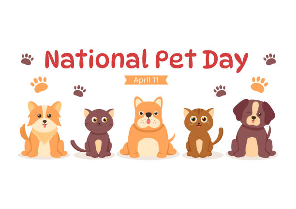 National Pet Day: Tips to ensure your pet's Health and happiness